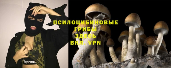 Альфа ПВП Абдулино
