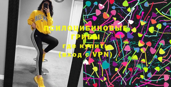 дурь Семёнов