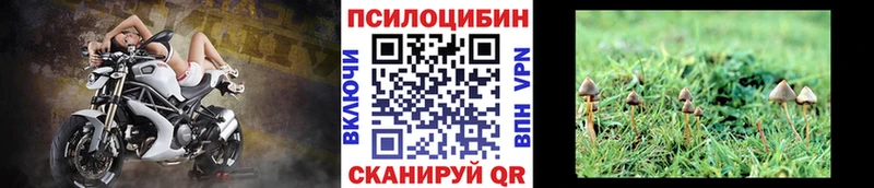 Галлюциногенные грибы ЛСД  закладка  darknet формула  Костерёво  KRAKEN зеркало 